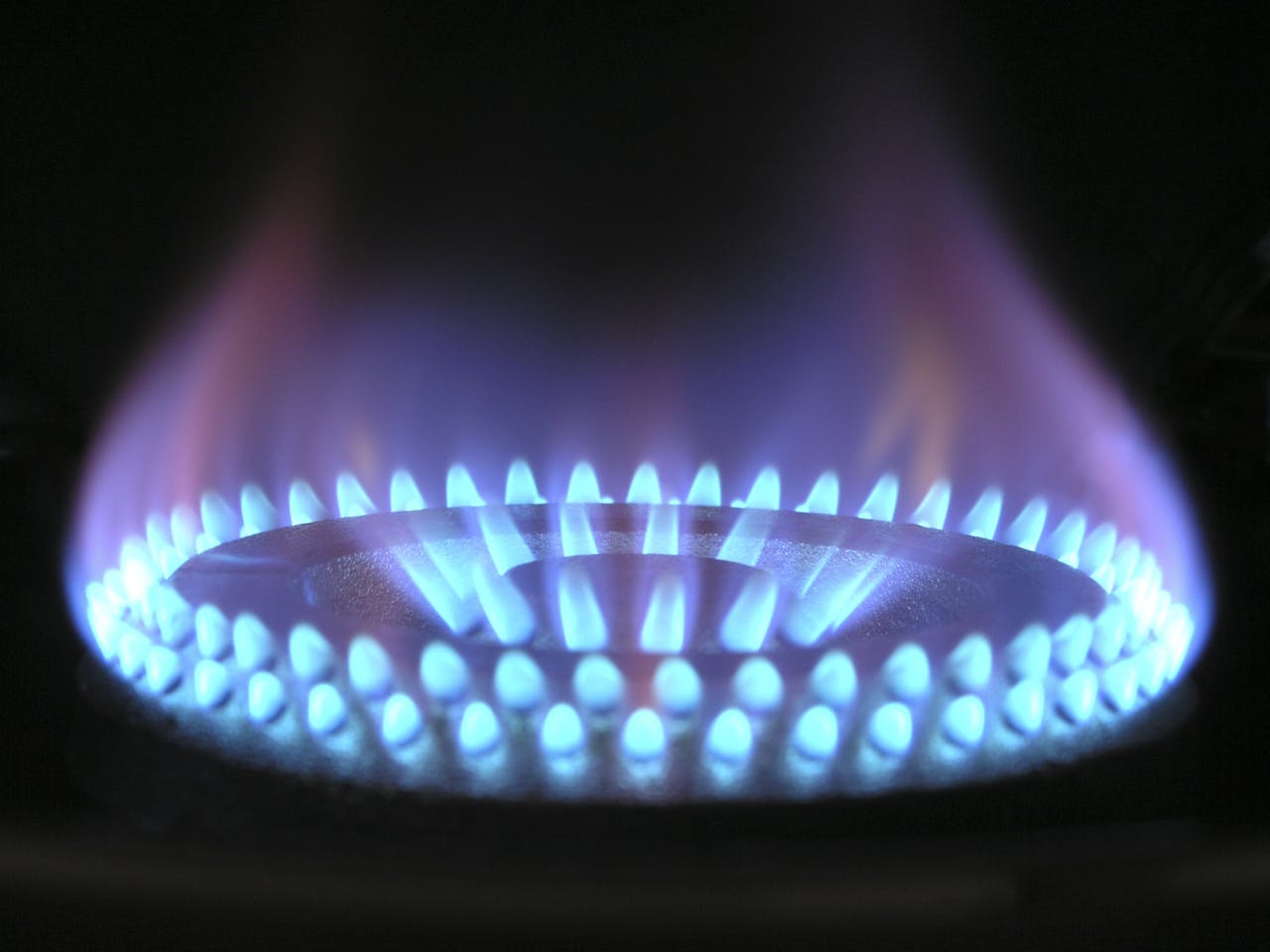 Gas Boiler Burner